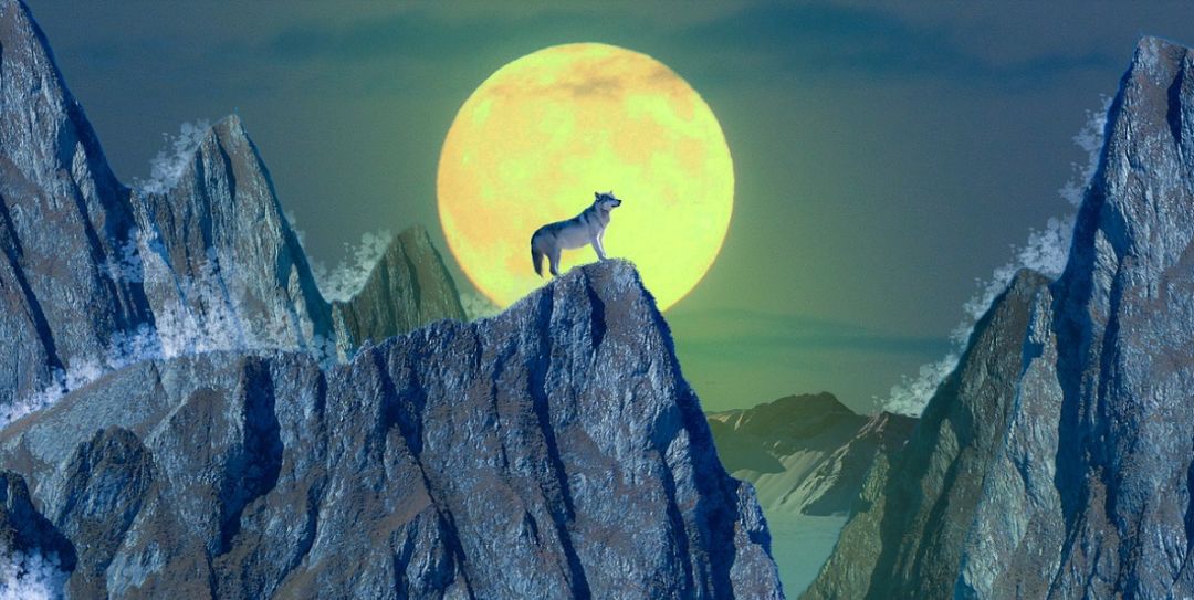 以太坊满月之夜前，有4个狼变迹象。 执行归零或转身？
