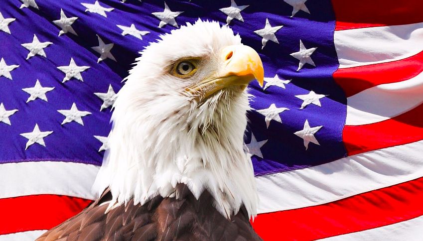 



比特币和美国，哪个更加去中心化？
