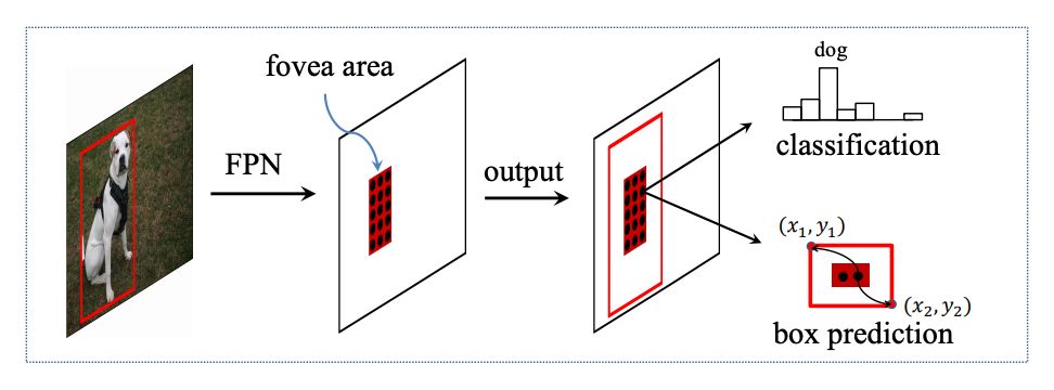 最新Anchor-Free目標檢測模型—FoveaBox