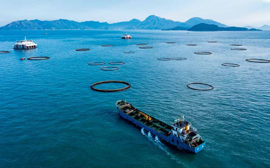 珠海市推进现代海洋渔业发展