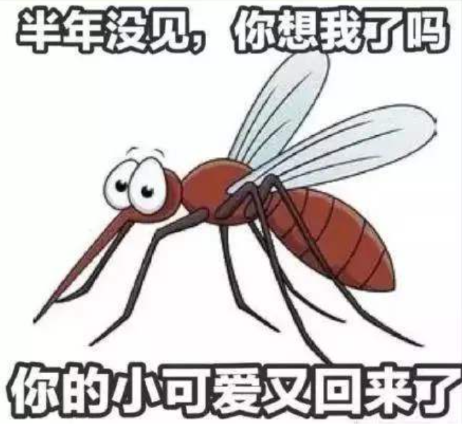 澳洲蚊虫多？新生必看的澳洲防蚊攻略来啦（组图） - 2