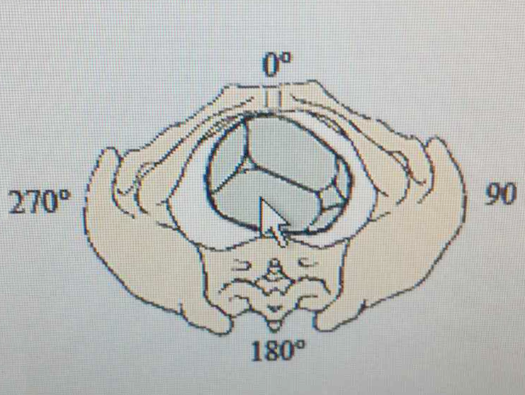 产程三维导航是什么准妈妈必看！什么是“产程三维导航”？_https://www.jmylbn.com_新闻资讯_第9张