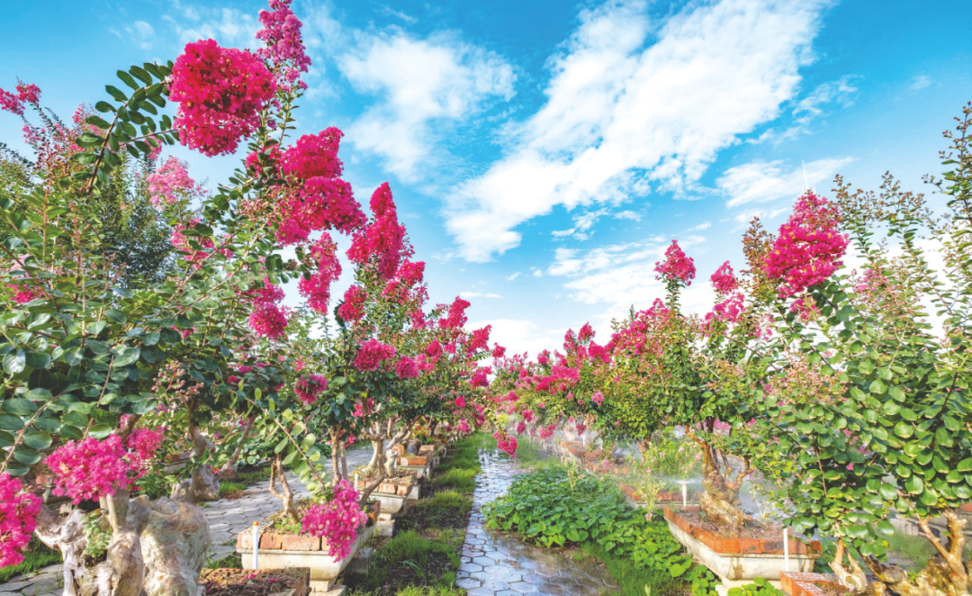 记者黄维业 摄作为南宁历史最悠久的城区之一,这里有重放异彩的"三街