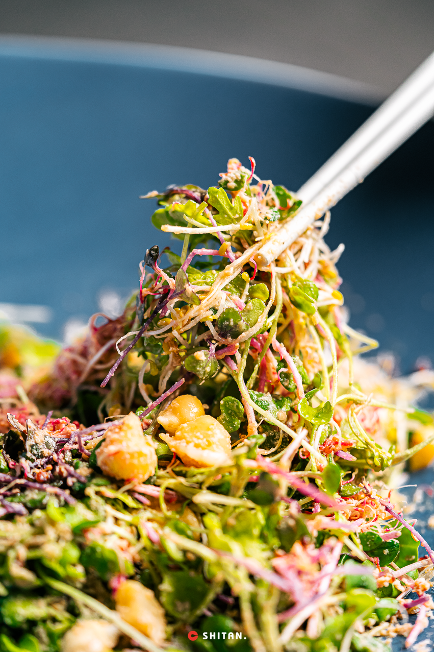 �������ˣ�ȫ���ڶ��ң������ڣ�