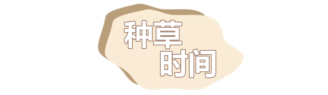 10+ 乐雅池春夏新款舞服已上市！超美！(图3)