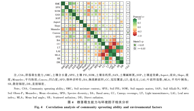 温带落叶阔叶林_温带落叶阔叶林草本植物_温带落叶阔叶林带