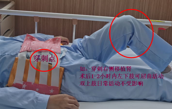 护理优质经验服务方案_护理优质经验服务内容_的优质护理服务经验