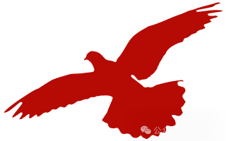 上海交通大学解码产业升级密码：惠州干部交大研修 擘画服务经济新蓝图(图14)
