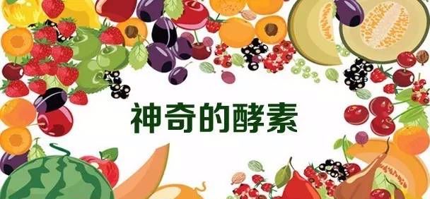 酵素，别着急说不要！！