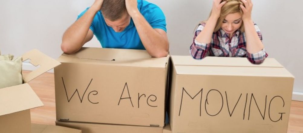 在悉尼租房！只要拿着这篇文章，就能吊打全悉尼房东！再也不怕黑-异乡好居