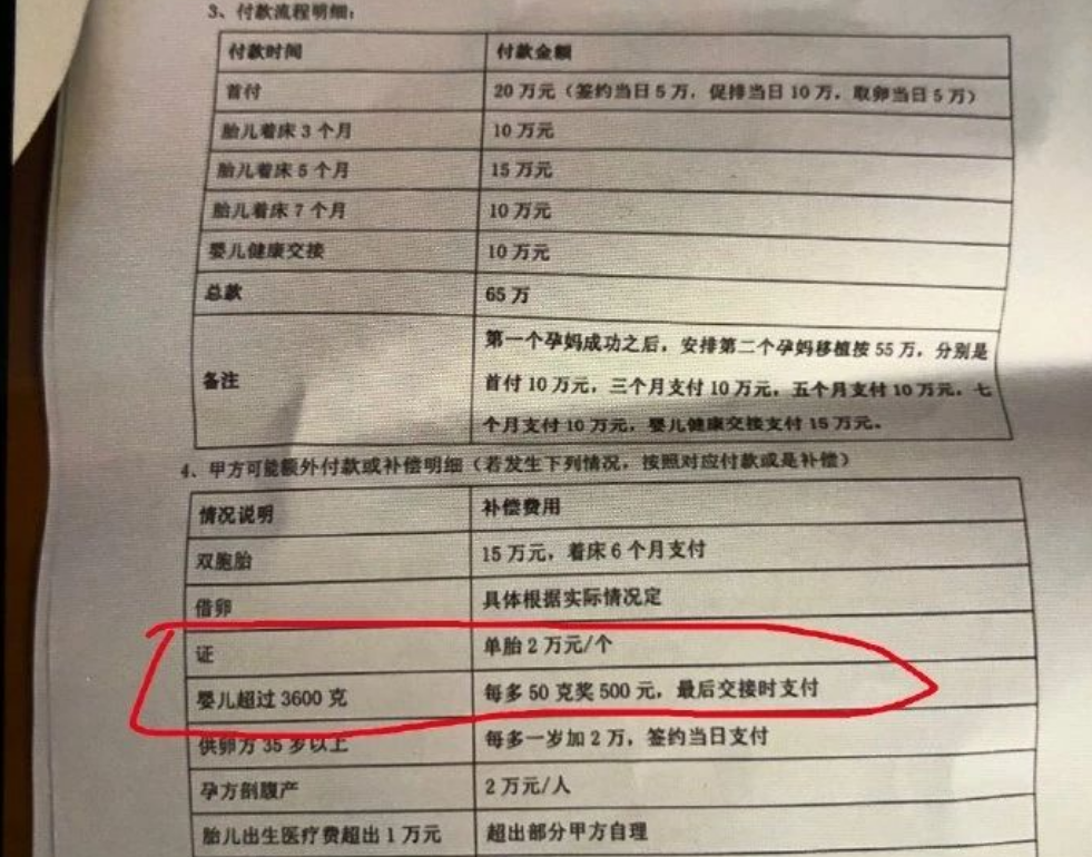 取卵针长什么样看过女性取卵的35cm穿刺针，我才明白为什么要抵制代孕！_https://www.jmylbn.com_新闻资讯_第8张