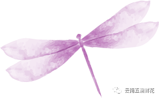 花语小课堂丨35种常见花材花语