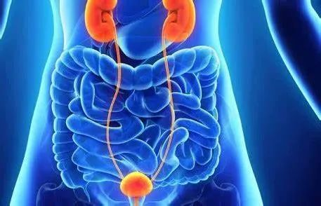 晚期尿路上皮癌患者去化疗方案！Padcev+Keytruda联合疗法获益-可愈有道