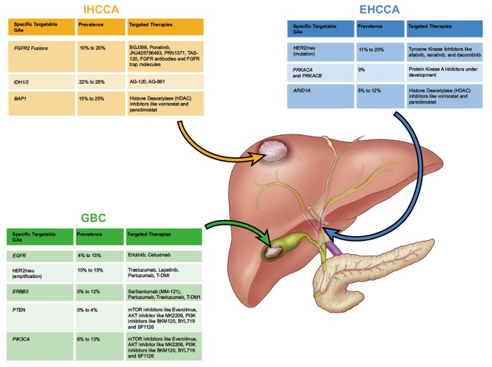 胆管癌-可愈有道