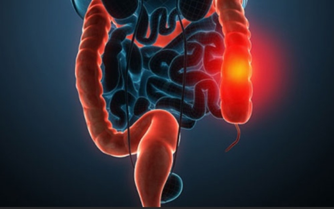 恶性肿瘤-可愈有道