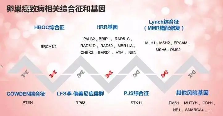 卵巢癌-可愈有道