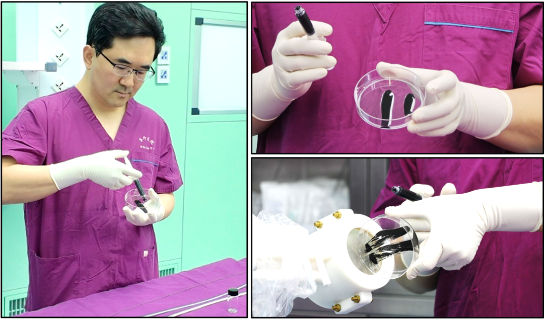 国家心血管病中心携手中科院在《Nature》发布磁流体封堵技术——宣告实现心脏在体3D打印梦想