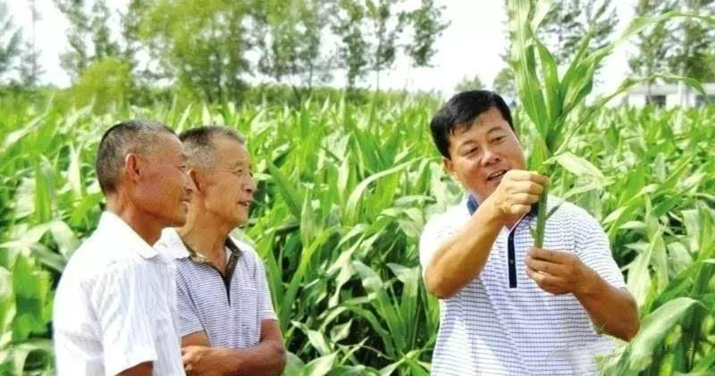 致富泥鳅养殖_致富经养泥鳅视频播放_致富经泥鳅