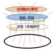 盆地康复仪器怎么用【产后康复】高科技助力宝妈产后修复——盆底磁刺激仪_https://www.jmylbn.com_新闻资讯_第6张