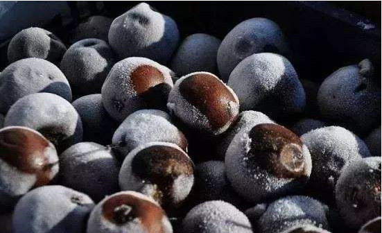 尔滨火了！网友预算18万求攻略，我给大家准备了一份哈尔滨最全旅游攻略，记得收藏