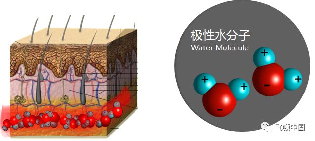多极射频是什么【科普】射频RF应用于医美抗衰发展历程_https://www.jmylbn.com_新闻资讯_第6张