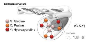 多极射频是什么【科普】射频RF应用于医美抗衰发展历程_https://www.jmylbn.com_新闻资讯_第7张