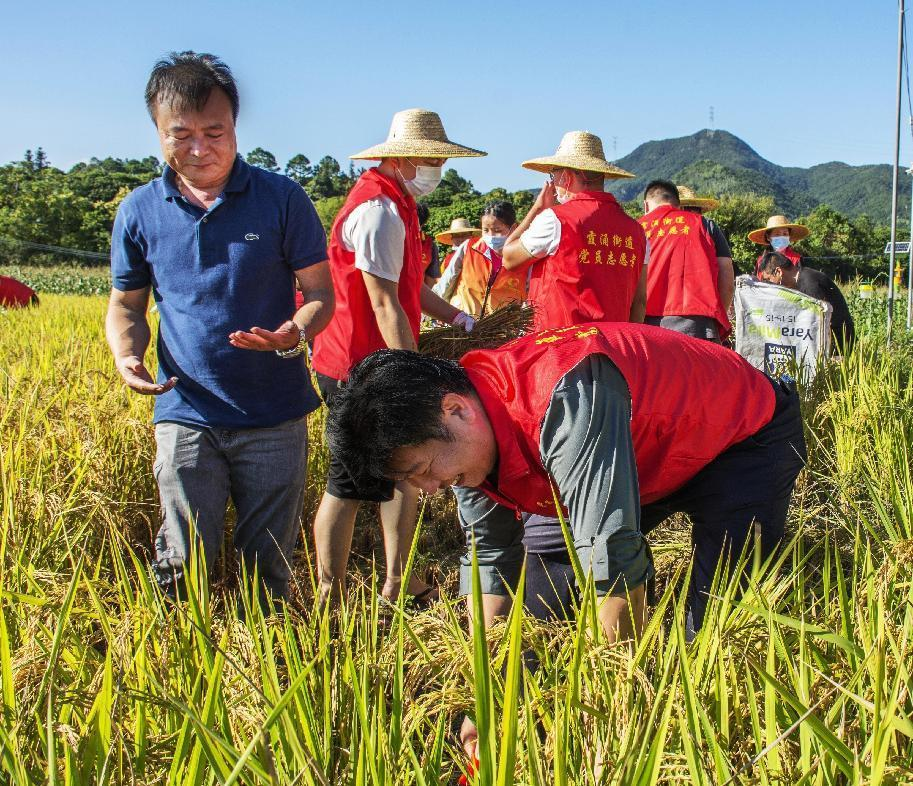 惠州市政法干部深入基层为群众办实事。