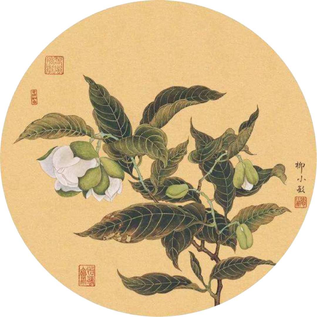 易经简明学习指南（1）-怎样快速入门