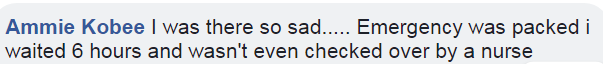 心痛！患者在澳洲医院急诊科苦等5小时得不到救治，最终活活等死了！ - 12