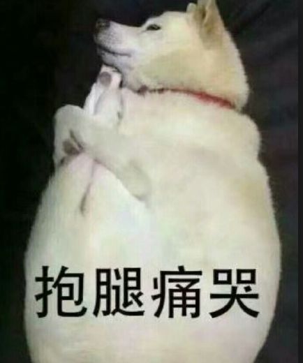 活久见！墨尔本一壮汉竟然闯入民宅猥亵…宠物狗，被通缉 - 2