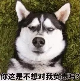 活久见！墨尔本一壮汉竟然闯入民宅猥亵…宠物狗，被通缉 - 3