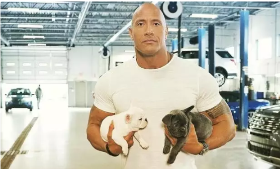 流浪狗入驻白宫 看看 新总统拜登 就知道为什么要找养狗的男人 疯狂的小狗天猫旗舰店