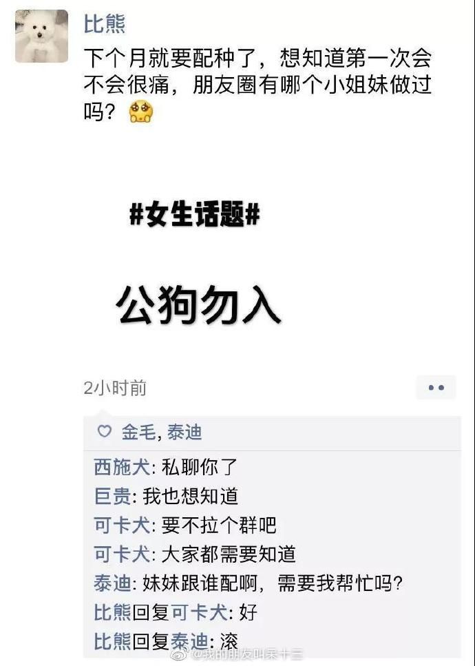 凌晨三點，狗狗突然發了條朋友圈... 寵物 第3張