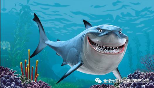 不久能够自动恢复功能,是因为鲨鱼脑组织中一种被认为"神经酸"的物质