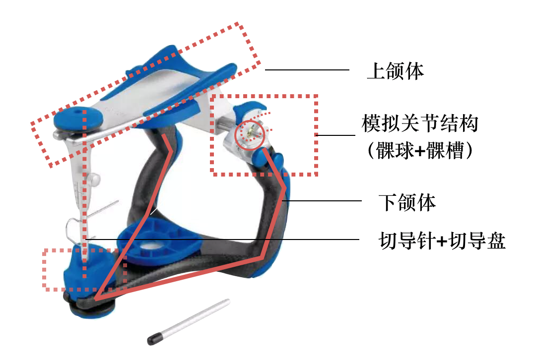 半可调颌架有哪些HE架模拟下颌运动的原理及常见分类_https://www.jmylbn.com_新闻资讯_第4张