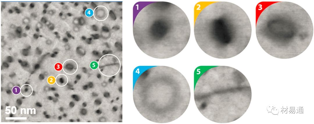 電子顯微圖像的自動(dòng)識(shí)別