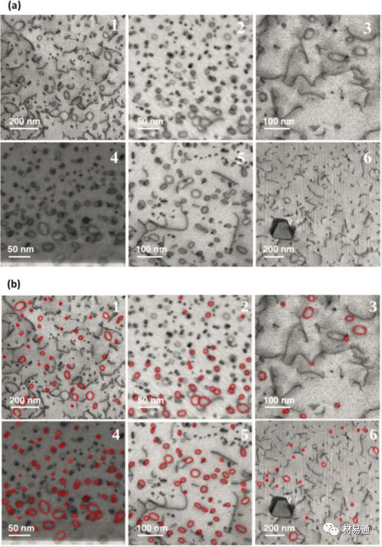 電子顯微圖像的自動(dòng)識(shí)別
