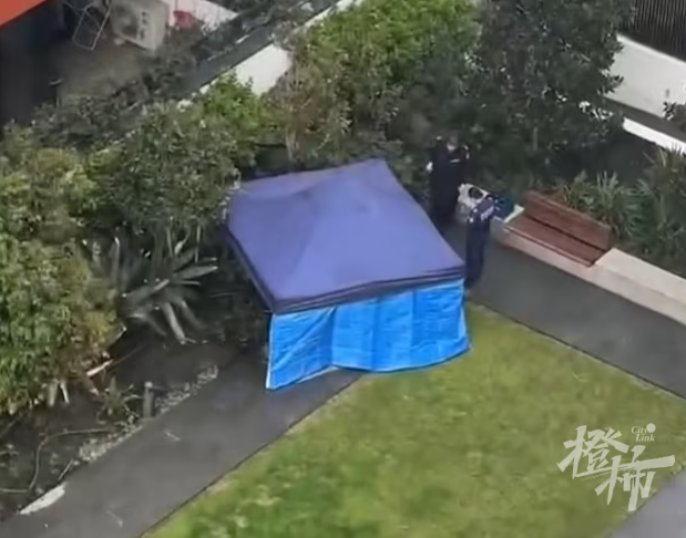 一男一女中国留学生死于公寓楼，女子身上有刀伤，男子跳楼自尽