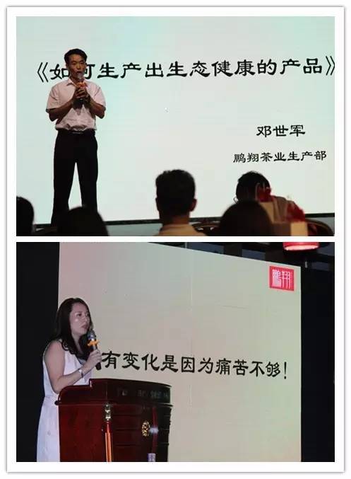 (邓世军先生(上)和崔羽涵女士(下)分别做现场演讲)