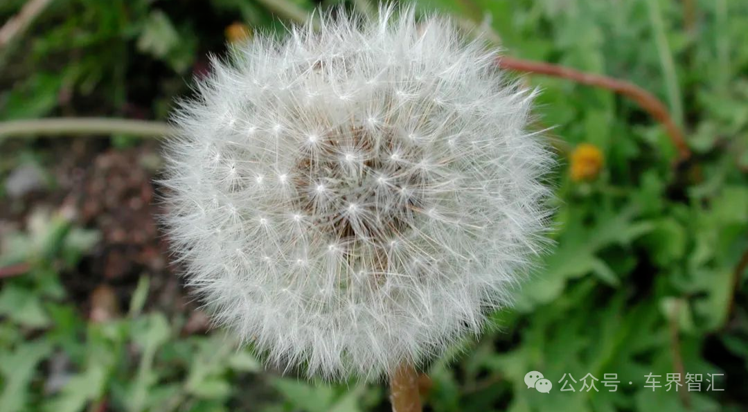 轮胎是什么材料