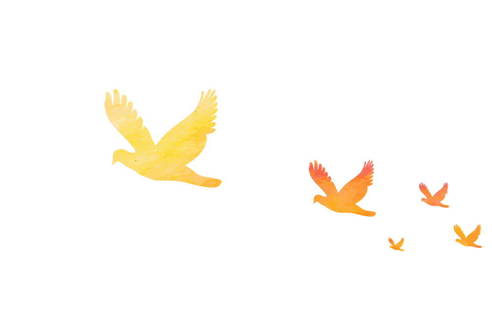 荆州市考试院网_荆州绩考网_荆州考试官网