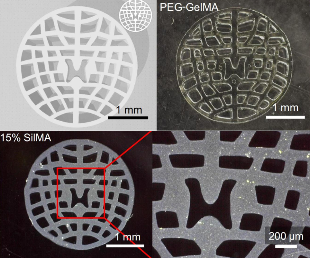 高精度生物3D打印水凝膠，解鎖生命健康多場景應(yīng)用
