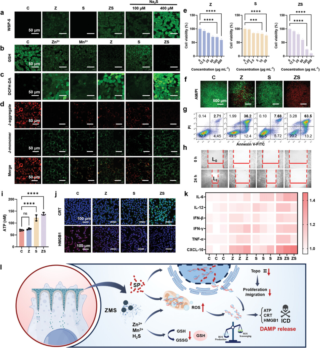 摩方3D打印翻模植入式微針激活免疫，預(yù)防術(shù)后三陰性乳腺癌復(fù)發(fā)與轉(zhuǎn)移
