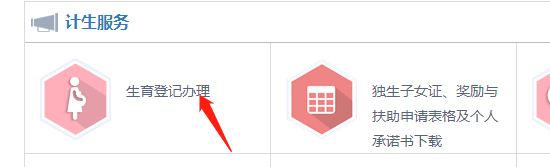 生育服务联系单_北京生育服务单办理_北京生育服务单