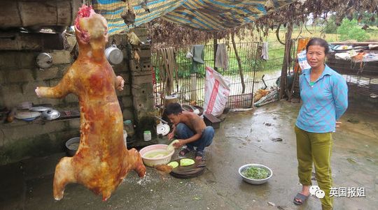 場面觸目驚心 暗訪越南血淋淋的貓肉市場(慎入)