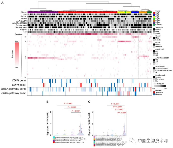 东亚人：饮酒+基因突变=更高的胃癌风险