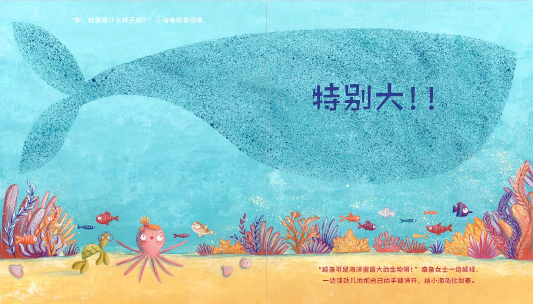 关于海洋，你了解的比你想象的少