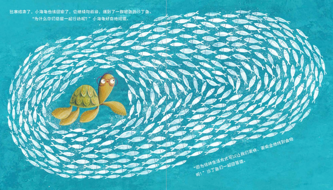 关于海洋，你了解的比你想象的少