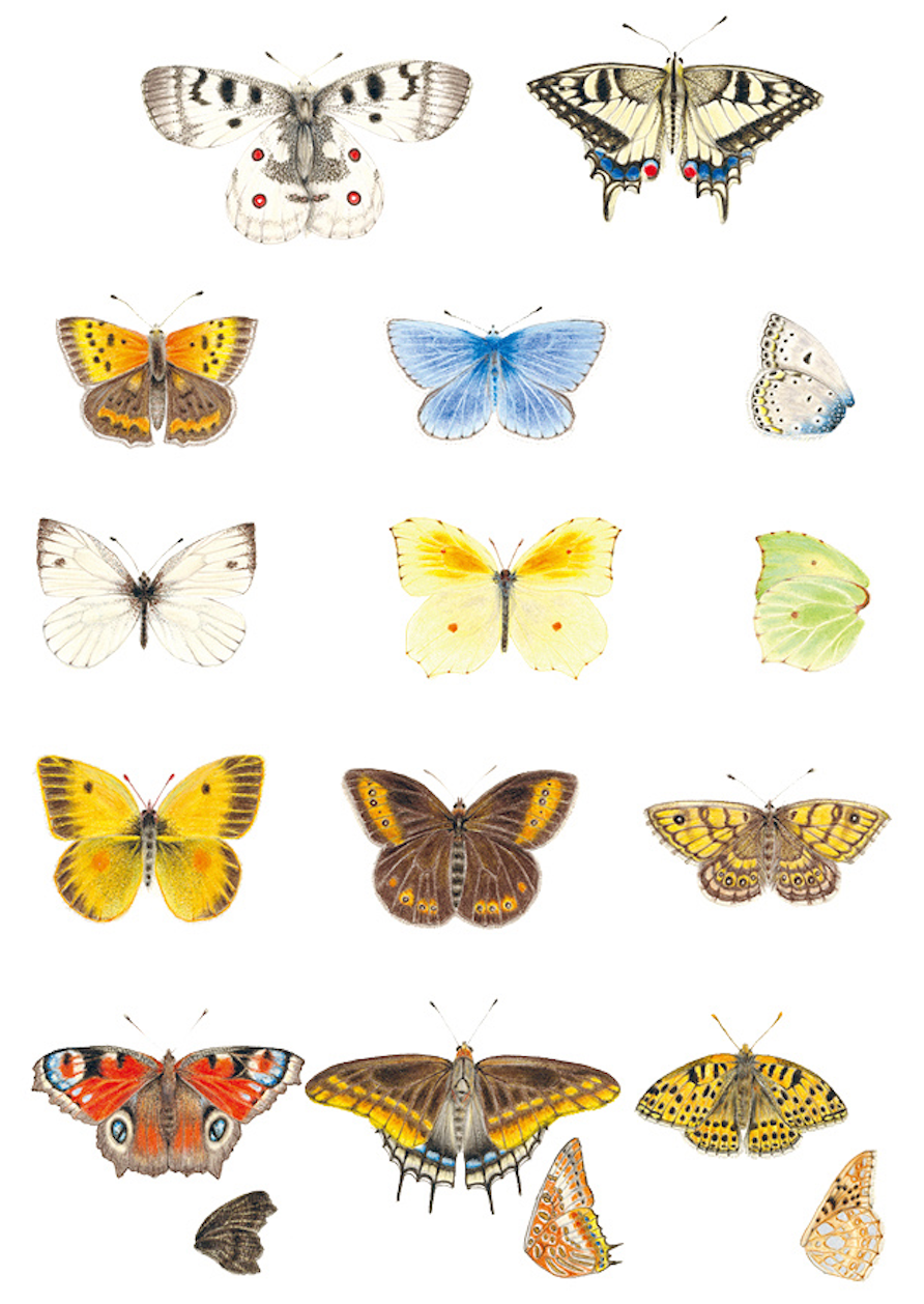 亲近春天|请收好这份踏青指导手册