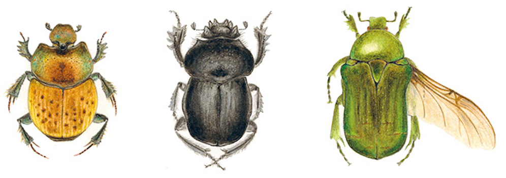 亲近春天|请收好这份踏青指导手册